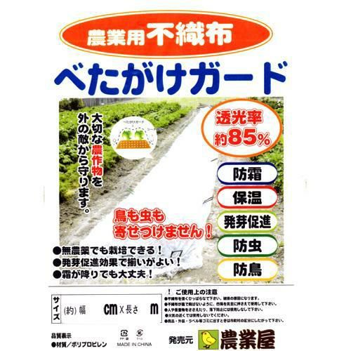 ネギ 種 【 おてがる小ねぎ 緑秀 】 1L ( ネギの種 ) | 農業屋.com ネギ 種 【 おてがる小ねぎ 緑秀 】 1L ( ネギの種 ) | 農業屋.com