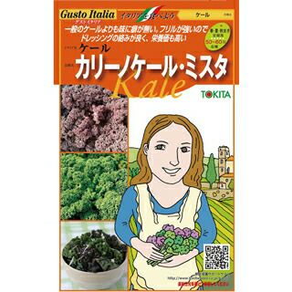 15 noritama555様　露茜　サイズmix 10kg 中風呂敷（#131 無彩キュービック）90cm ｜小倉織｜小倉 縞縞