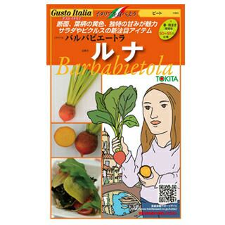 野菜の種(新種)×18袋その④ 41+M3HbgKyL._AC_UL210_SR210,