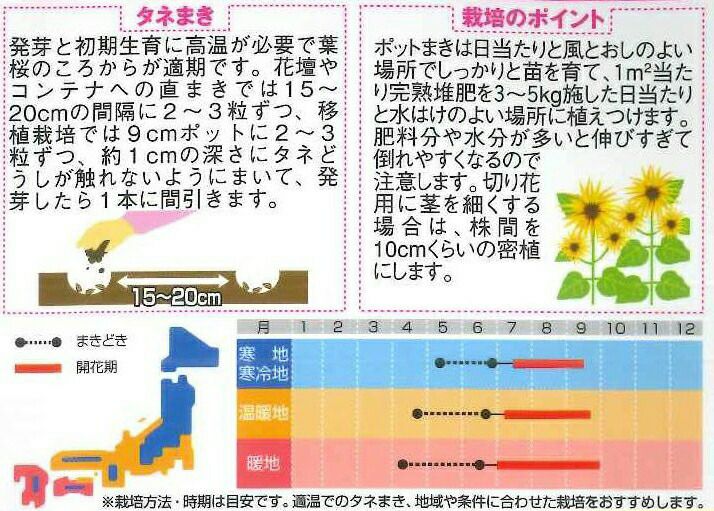 公式ショップ ひまわりの種 5kg Lacistitis Es