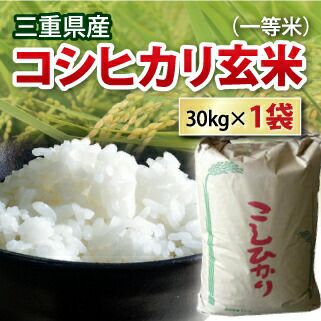 令和5年度】【送料無料】 三重県産 コシヒカリ 玄米（一等米）新米
