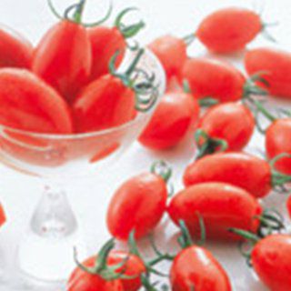 トマト 種 【 ミニトマト アイコ 】 実咲小袋（17粒） ( トマト...