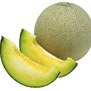 送料無料】【 令和6年産 】【 新米 】 愛知県産 あいちのかおり 玄米 2