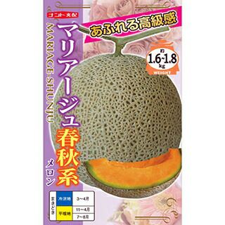 楽天市場】たね ナント種苗 メロン 種子 早春のマリアージュ 100