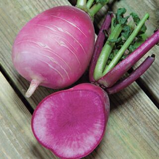 重い・場所取る】大袋の土を買わなくても良くなる方法教えます