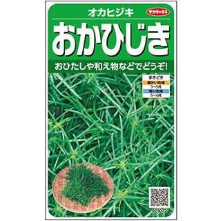 葉菜 種 【 おかひじき 】 実咲小袋 ( 葉菜の種 )