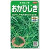 葉菜 種 【 おかひじき 】 実咲小袋 ( 葉菜の種 )