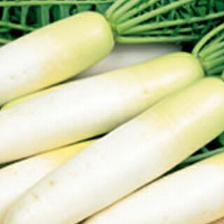 送料無料】【 令和6年産 】【 新米 】 愛知県産 あいちのかおり 玄米 2