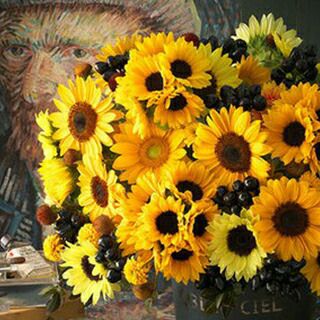 ひまわり 種 【 サンリッチ ソレイユミュージアム 】 小袋（約20粒