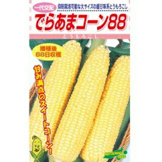 トウモロコシ 000000017478-01-l.jpg?t=