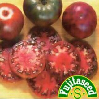 里芋（さといも） 【赤芽大吉】 種芋 500g（4～5個入り） | 農業屋.com