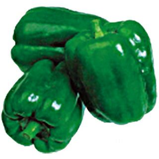 珍しいナスとピーマンの苗5本セット 珍しいナスとピーマンの苗5