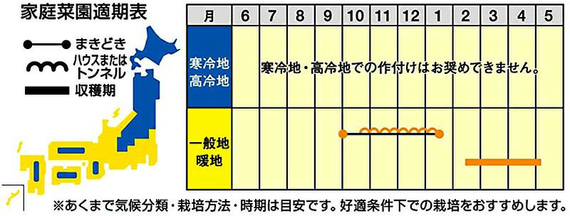 ダイコン 種 【 桜の砦 】 8000粒 ( ダイコンの種 ) | 農業屋.com