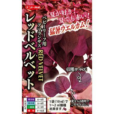 アマランサス 種 レッドベルベット 10ml アマランサスの種 農業屋 Com アマランサス 種 レッドベルベット 10ml アマランサスの種 農業屋 Com