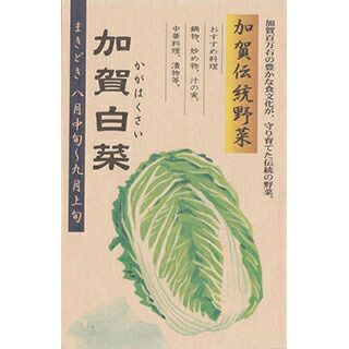 白菜 種 【 加賀伝統野菜 加賀白菜 】 20ml ( 白菜の種 ) | 農業屋.com