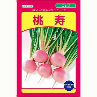さつまいも苗【シルクスイート２００本】【ウイルスフリー切り苗】 楽天市場】シルクスイート苗20本入 さつまいも苗 ウィルスフリー