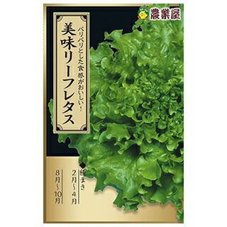 リーフレタス 種 【 美味（うま）リーフレタス 】 ペレット40粒 ( リーフレタスの種 ) | 農業屋.com