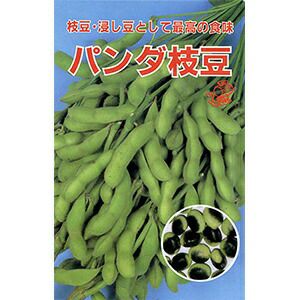 豆 種 【 パンダ枝豆小袋（40ml） 】 小袋（40ml） ( 豆の種 ) | 農業