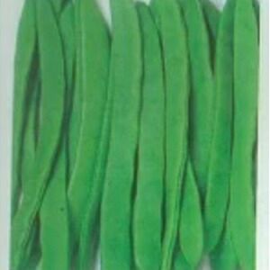 玖玖ジャンボいんげんAB品10キロ インゲン 種 【 つるあり菜豆 ビックリジャンボ 】 1dl