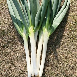 000000020038-01-l.jpg?t=