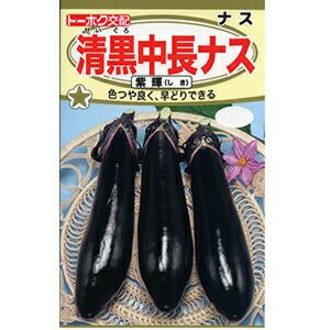 ナス 種 【 清黒中長ナス 紫輝 】 小袋 ( ナスの種 ) | 農業屋.com