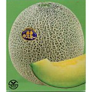 000000020754-01-l.jpg?t=