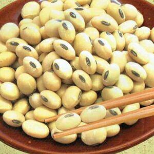 大豆 種 【 大粒白大豆（晩生） めぐろ王 】 1dl ( 大豆の種 ) | 農業