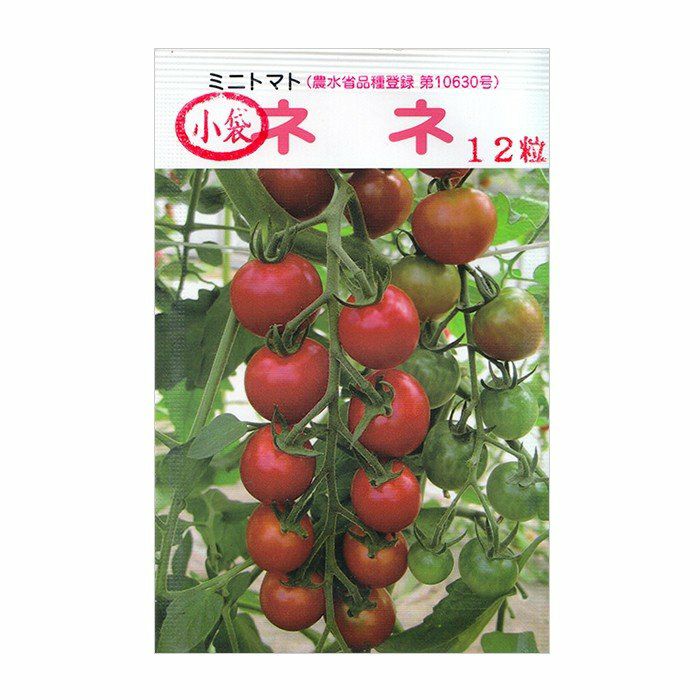 トマト 種 【 ミニトマト ネネ 】 小袋（12粒） ( トマトの種 ) | 農業
