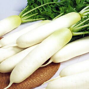 000000020853-01-l.jpg?t=