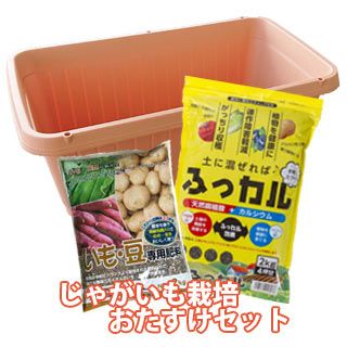 玉ねぎ苗 | 農業屋.com