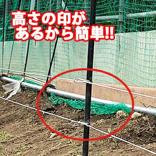 グラスファイバー電柵支柱　ステン碍子２Ｐ　目印付　１４φ×９００ｍｍ