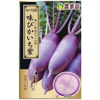 大根 種 【味ぴかいち紫】 2ｍｌ（約130粒）