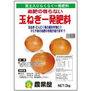 玉ねぎ苗 【予約】 【 中晩生 ネオアース】 約50本 [ たまねぎ苗