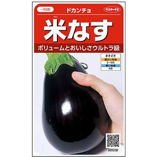 ナス 種 【 米なすドカンチョ 】 小袋 ( 野菜の種 )