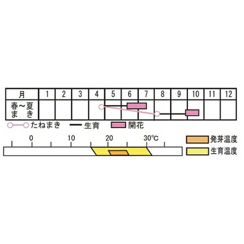 yoshitaninougei_2514