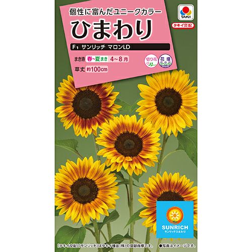 ひまわり 種 【 サンリッチ マロンLD 】 小袋 （ ひまわりの種