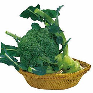 【匿名発送】ブロッコリー種子（サミット）5000粒。春まきにいかが？ ブロッコリー 種 【 サミット 】 ペレット5千粒 ( ブロッコリーの種