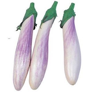 紫と白の小さなナス9キロ Amazon.co.jp: タイ 紫ミニナスの種 400粒
