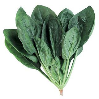 000000022604-01-l.jpg?t=