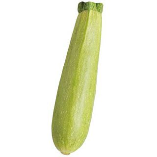 ズッキーニ | 農業屋.com