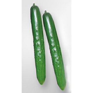 きゅうり | 農業屋.com