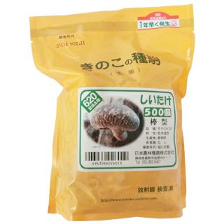 きのこ栽培 【 しいたけ種菌 種駒 500入り（品種：すその620