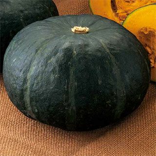 かぼちゃ | 農業屋.com