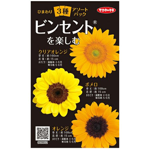 緑肥 種 【 ひまわり 63A21 】 1.5万粒(約1kg） ( 緑肥の種