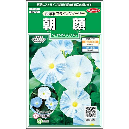 朝顔 種 【 西洋系 フライングソーサー 】 実咲小袋 （ 朝顔の種 ） | 農業屋.com