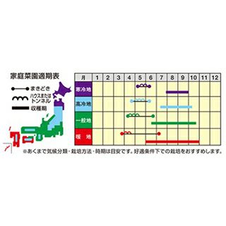 オクラ 種 【 大奥 】 2000粒ｌ ( オクラの種 )