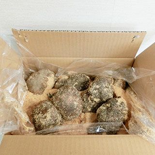 伊勢芋　 三重県産 2kg 