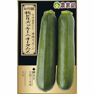 送料無料】 さつまいも苗 詰め合わせセット 10本×4品種 ( 紅