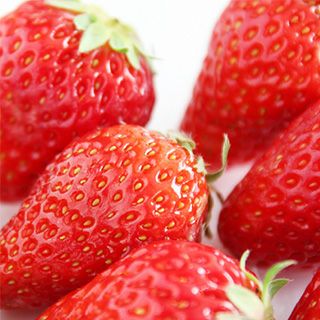 いちご苗 野菜苗 【イチゴ苗 東京おひさまベリー】3号ポット 苺苗 1株