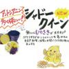 じゃがいも 種芋 【予約】 【 シャドウクイン 500g 入り